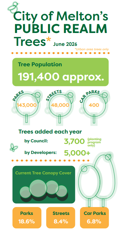 Infographic of City of Melton's Public Realm Trees